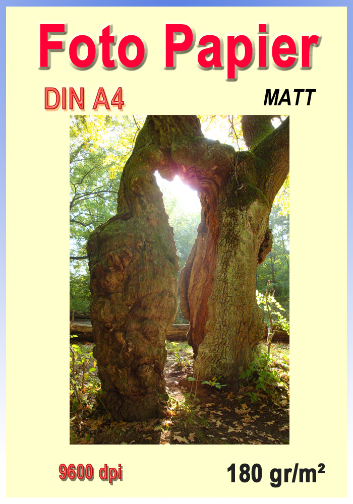 Fotopapier, matt <b>180 g/m²</b> - DIN A4 - 9.600 dpi - <b>200 Blatt -</b>